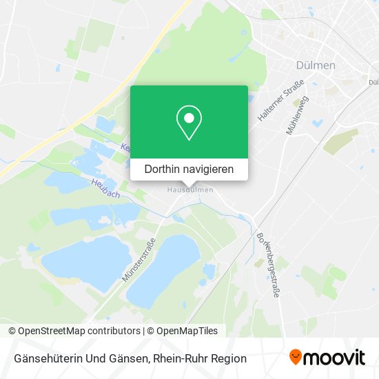 Gänsehüterin Und Gänsen Karte