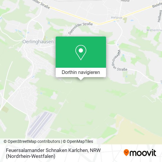 Feuersalamander Schnaken Karlchen Karte