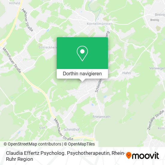 Claudia Effertz Psycholog. Psychotherapeutin Karte