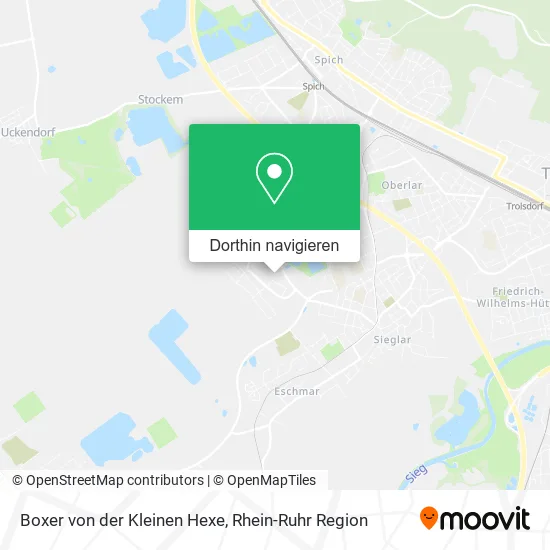 Boxer von der Kleinen Hexe Karte