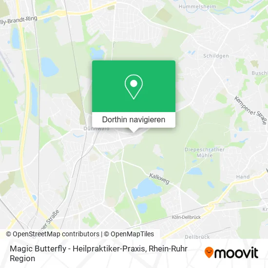 Magic Butterfly - Heilpraktiker-Praxis Karte