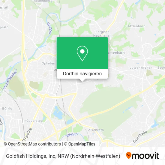 Goldfish Holdings, Inc Karte