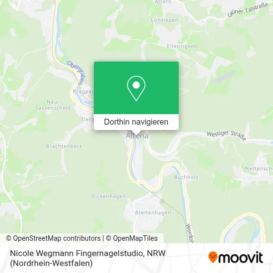 Nicole Wegmann Fingernagelstudio Karte