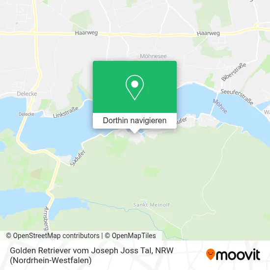 Golden Retriever vom Joseph Joss Tal Karte