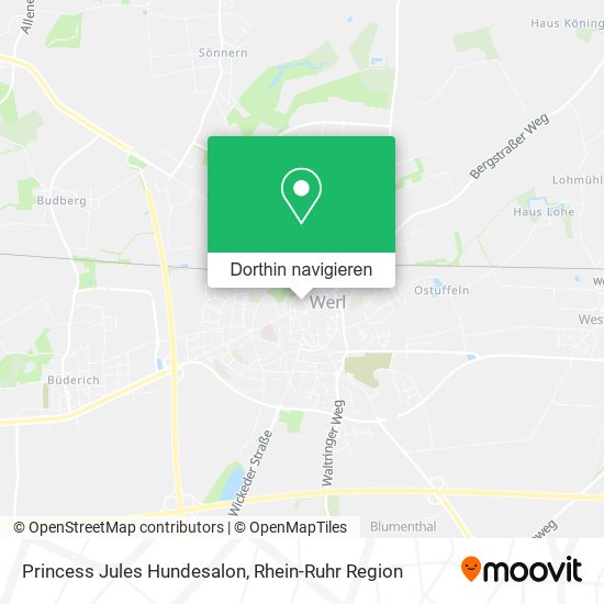 Princess Jules Hundesalon Karte