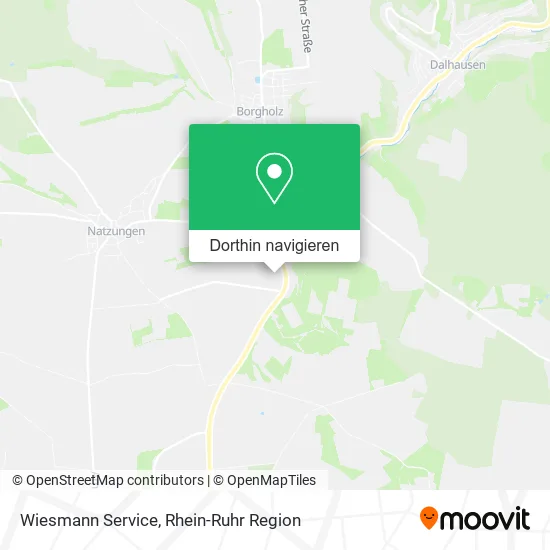 Wiesmann Service Karte