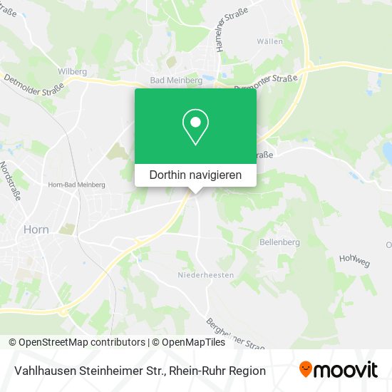 Vahlhausen Steinheimer Str. Karte