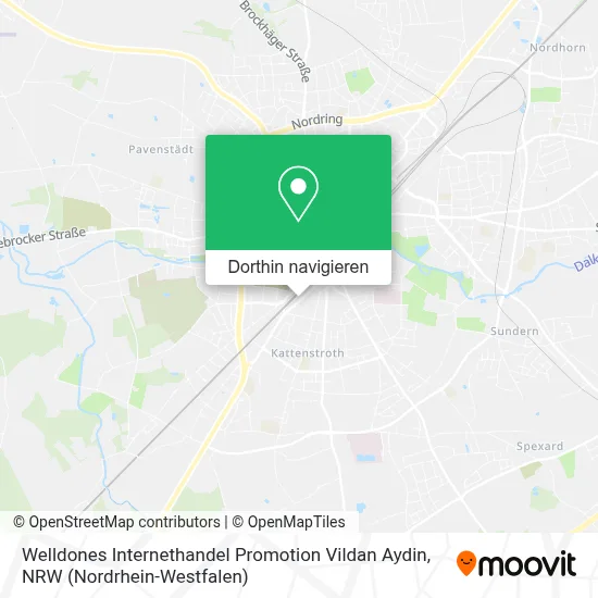 Welldones Internethandel Promotion Vildan Aydin Karte