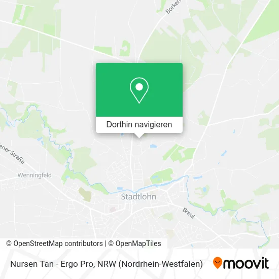 Nursen Tan - Ergo Pro Karte