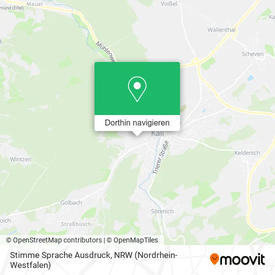 Stimme Sprache Ausdruck Karte