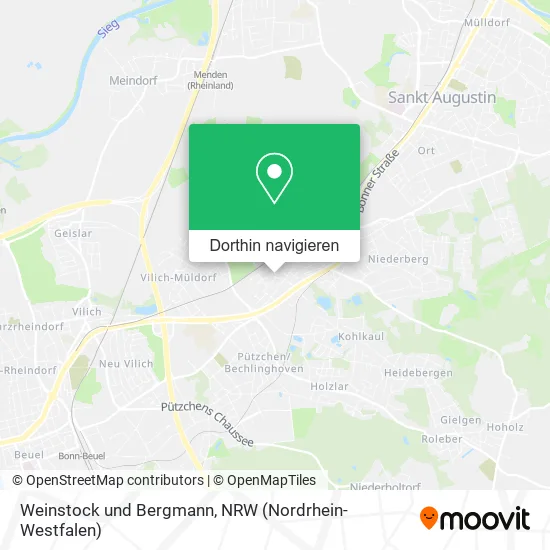 Weinstock und Bergmann Karte