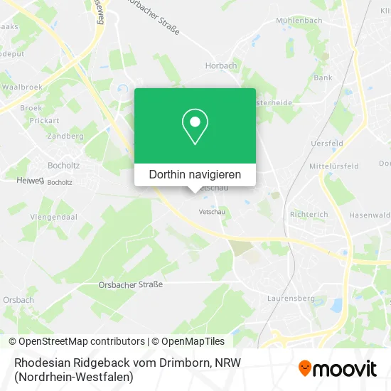 Rhodesian Ridgeback vom Drimborn Karte