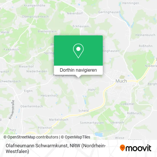 Olafneumann Schwarmkunst Karte