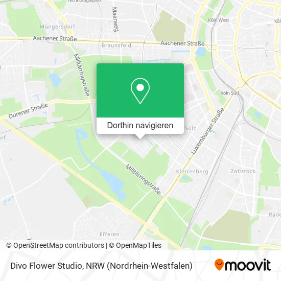 Divo Flower Studio Karte