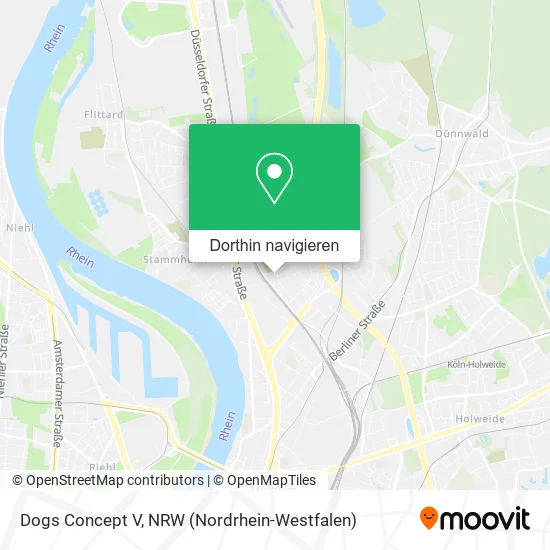 Dogs Concept V Karte