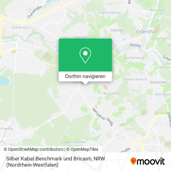 Silber Kabel Benchmark und Bricasti Karte