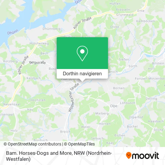 Bam. Horses-Dogs and More Karte