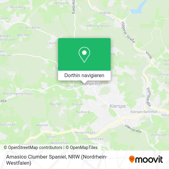 Amasico Clumber Spaniel Karte