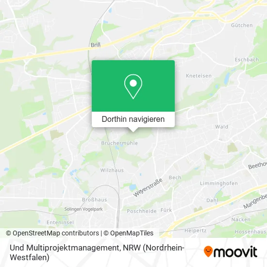 Und Multiprojektmanagement Karte