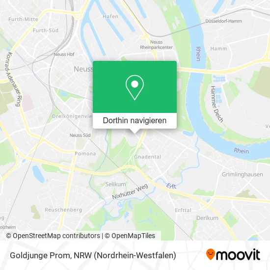 Goldjunge Prom Karte