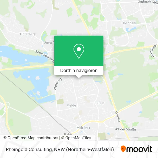 Rheingold Consulting Karte