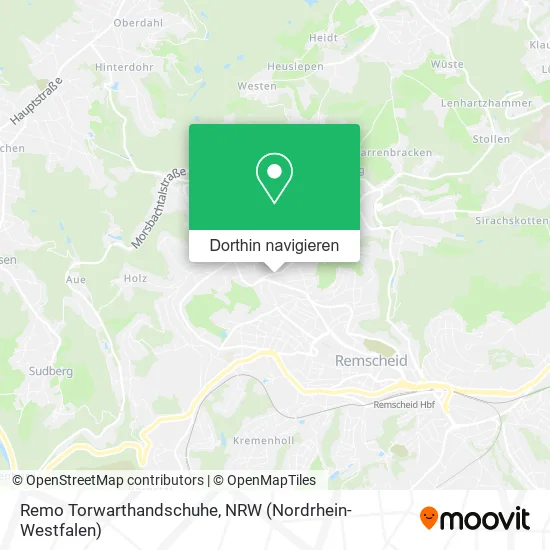 Remo Torwarthandschuhe Karte