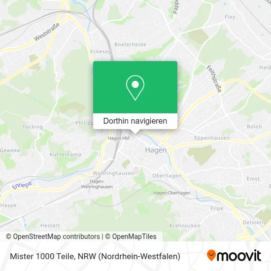 Mister 1000 Teile Karte