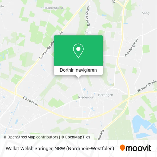 Wallat Welsh Springer Karte