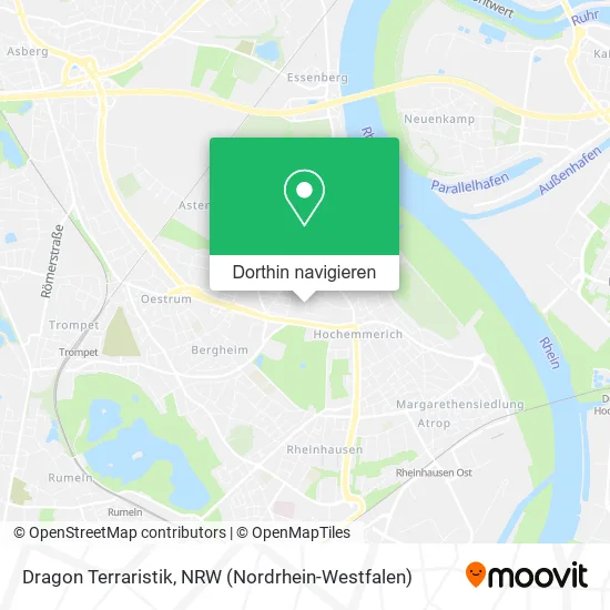 Dragon Terraristik Karte