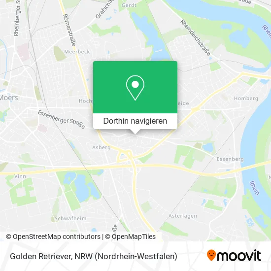 Golden Retriever Karte