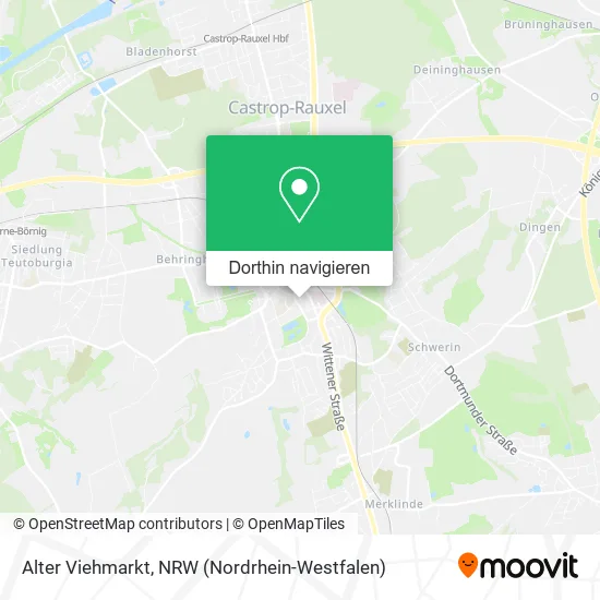 Alter Viehmarkt Karte