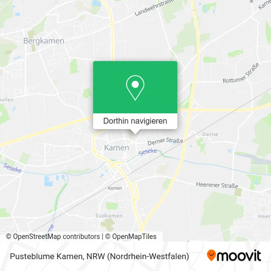 Pusteblume Kamen Karte