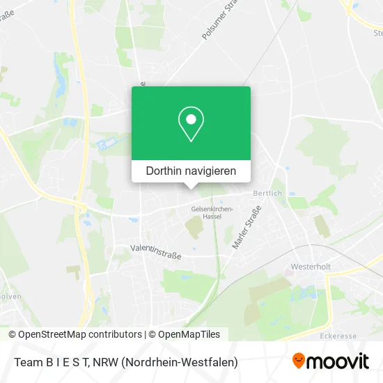 Team B I E S T Karte