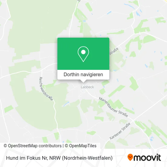 Hund im Fokus Nr Karte