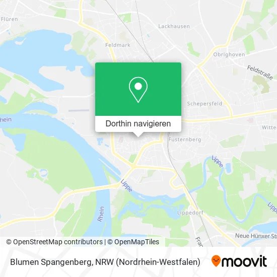 Blumen Spangenberg Karte