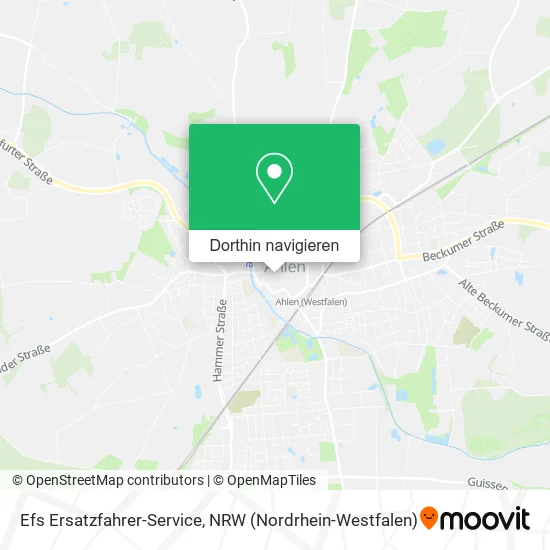 Efs Ersatzfahrer-Service Karte