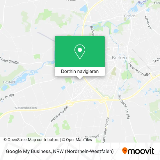 Google My Business Karte