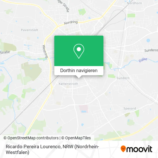 Ricardo Pereira Lourenco Karte