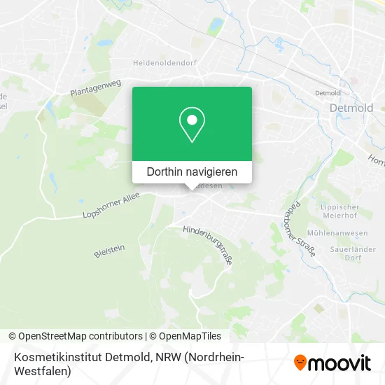 Kosmetikinstitut Detmold Karte
