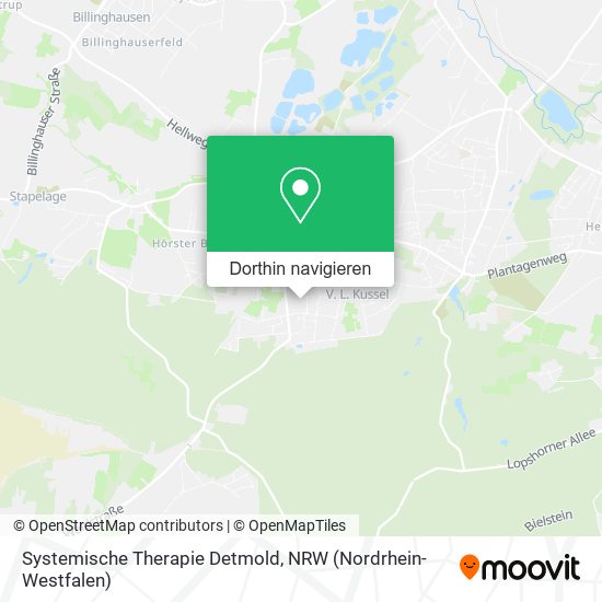 Systemische Therapie Detmold Karte