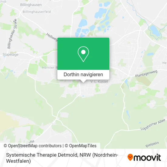 Systemische Therapie Detmold Karte