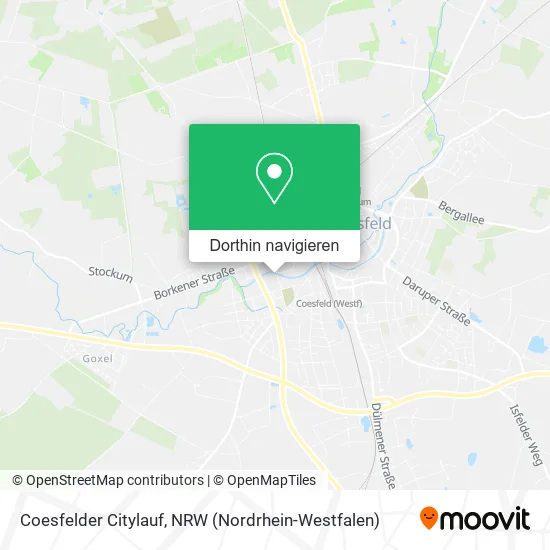 Coesfelder Citylauf Karte