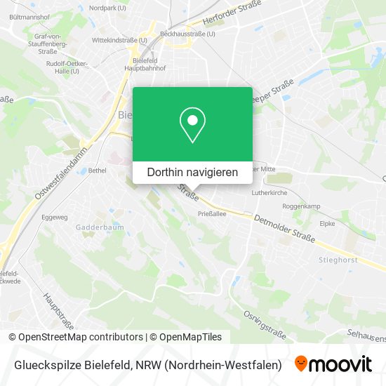 Glueckspilze Bielefeld Karte