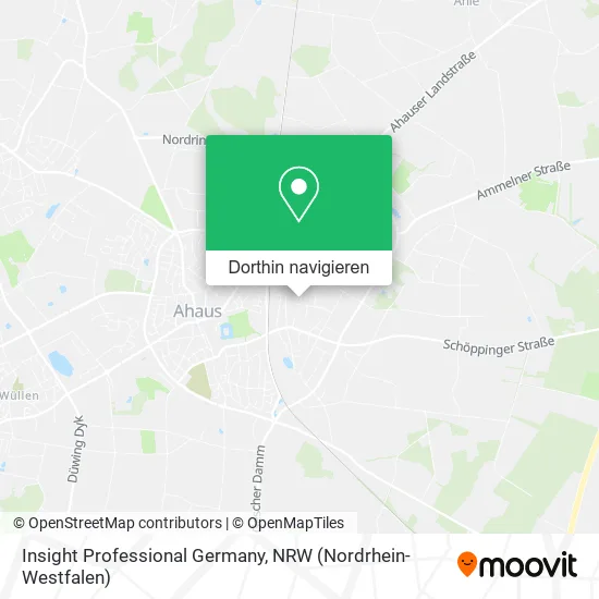 Insight Professional Germany Karte