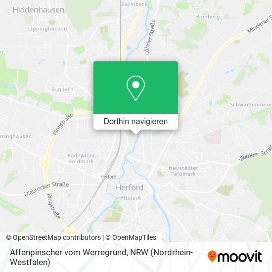 Affenpinscher vom Werregrund Karte