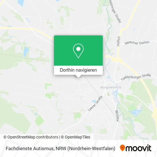 Fachdienste Autismus Karte