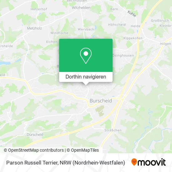 Parson Russell Terrier Karte