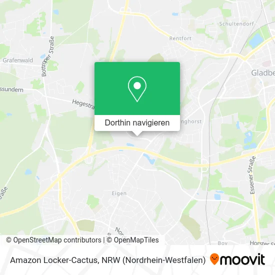 Amazon Locker-Cactus Karte