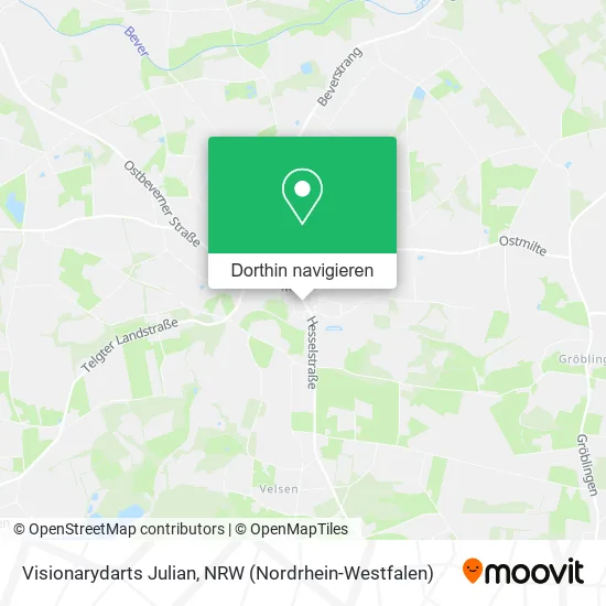 Visionarydarts Julian Karte