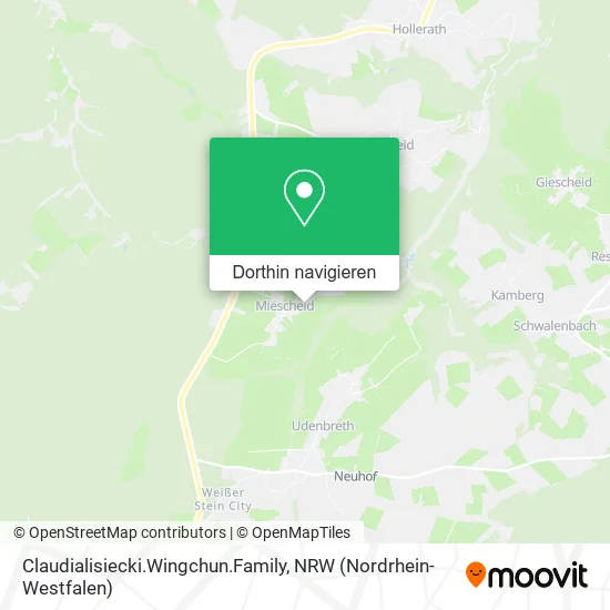 Claudialisiecki.Wingchun.Family Karte